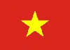 flag vn