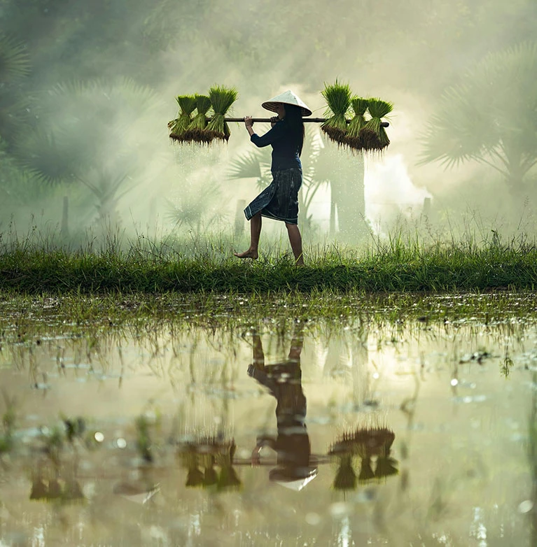 The Potential of Virtual Reality in Agrifood image 21