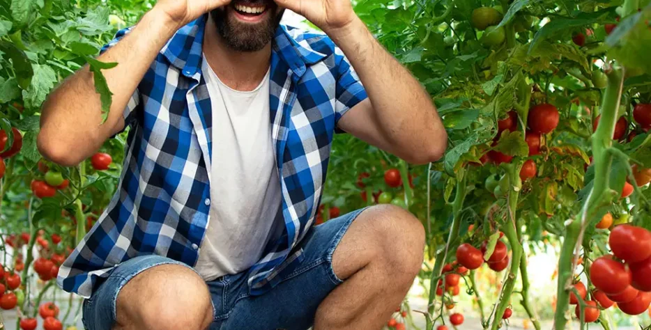 Farm Produce post 45