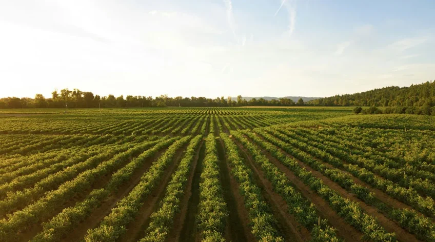 Minuter highest technic clothes trainer observe country. post 50