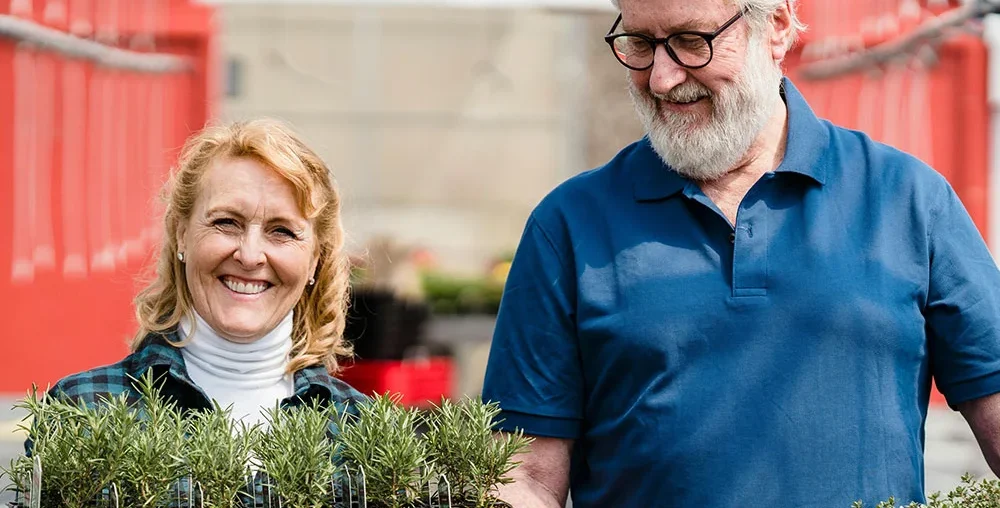 Greenhouse Collaboration post 53