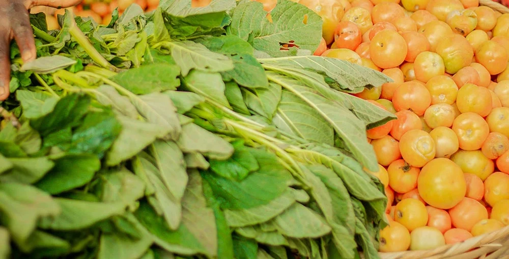 Organic Harvest Collection post 7