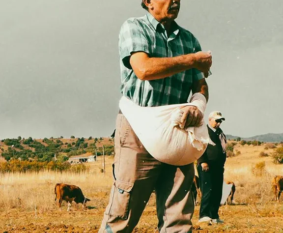 Clean Vegetables post 60