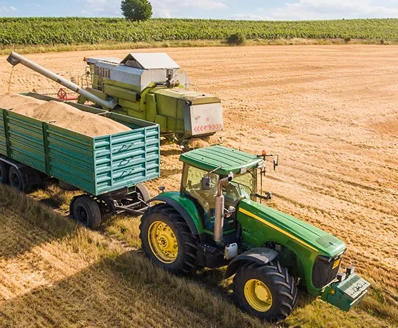 100% Organic Products post 61