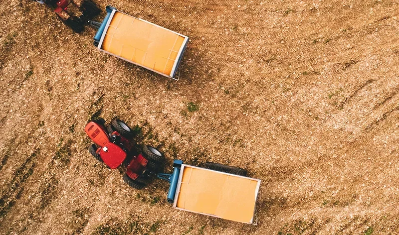 The Potential of Virtual Reality in Agrifood post 63