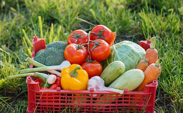 Sustainable Farming: Feeding the Future Responsibly post 77